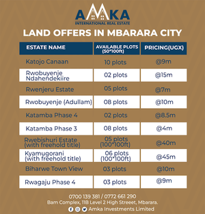 The Amka International Real Estate experience on LyveCity