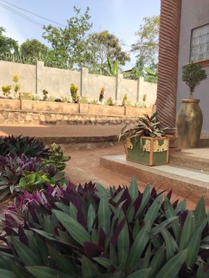 Epignosis Rehabilitation Centre Uganda image