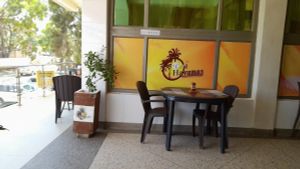 The Cafe Havana3 experience on LyveCity