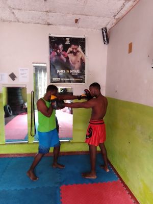 Labwor Combat Sports (Boxing, Kickboxing and MMA) image