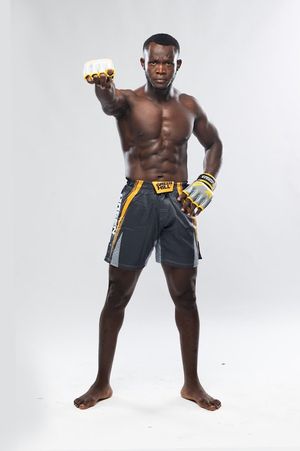 Labwor Combat Sports (Boxing, Kickboxing and MMA) image