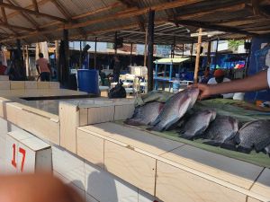 Mulungu Fish Market image