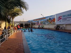 The Turtles Family Kids Park experience on LyveCity