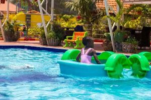 The Turtles Family Kids Park experience on LyveCity