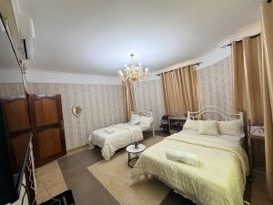 Whisper Hospital image