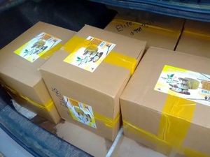 Adams Food Spices. Uganda image