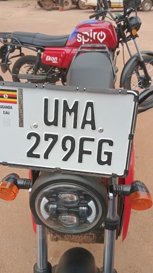 Adams Food Spices. Uganda - photo 7