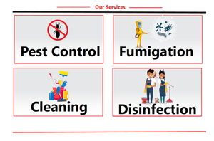 The Jam Fumigators Co. Limited experience on LyveCity