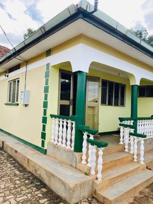 The Boxleo Courier Services Limited Uganda experience on LyveCity