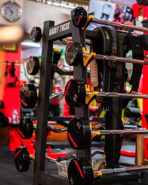 The Kash Gym experience on LyveCity