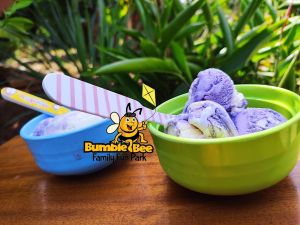 The Bumble Bee Family Fun Park experience on LyveCity