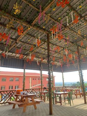 The Bumble Bee Family Fun Park experience on LyveCity