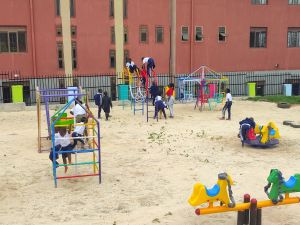 The Bumble Bee Family Fun Park experience on LyveCity