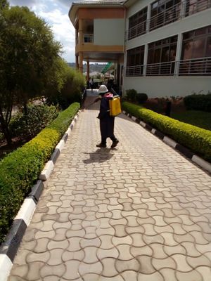 The Promise fumigators experience on LyveCity