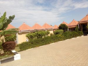 The Promise fumigators experience on LyveCity