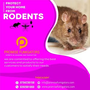 The Promise fumigators experience on LyveCity