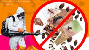 The Promise fumigators experience on LyveCity