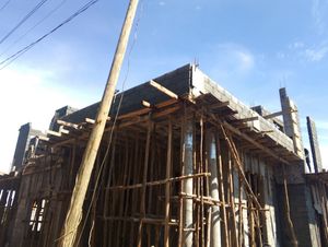 The Royaux Architects experience on LyveCity