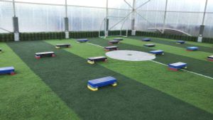 The Time Out Leisure Park experience on LyveCity