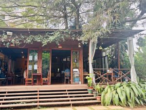 The Kardamom & Koffee experience on LyveCity