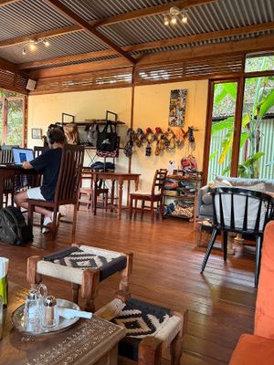 The Kardamom & Koffee experience on LyveCity