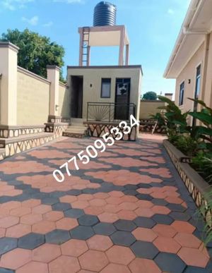 The Delight landscape services Uganda experience on LyveCity