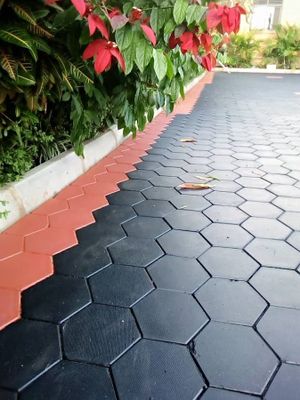 The Delight landscape services Uganda experience on LyveCity